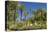 Spain, Andalusia, Seville, Palm Garden, Jardines De Murillo, Couple-Chris Seba-Stretched Canvas