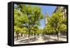 Spain, Andalusia, Seville. Patio De Los Naranjos in the Cathedral and Giralda Tower-Matteo Colombo-Framed Stretched Canvas