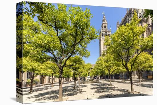Spain, Andalusia, Seville. Patio De Los Naranjos in the Cathedral and Giralda Tower-Matteo Colombo-Stretched Canvas