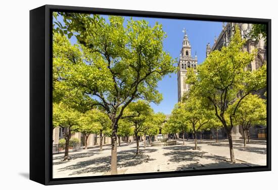 Spain, Andalusia, Seville. Patio De Los Naranjos in the Cathedral and Giralda Tower-Matteo Colombo-Framed Stretched Canvas