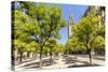 Spain, Andalusia, Seville. Patio De Los Naranjos in the Cathedral and Giralda Tower-Matteo Colombo-Stretched Canvas