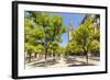 Spain, Andalusia, Seville. Patio De Los Naranjos in the Cathedral and Giralda Tower-Matteo Colombo-Framed Photographic Print