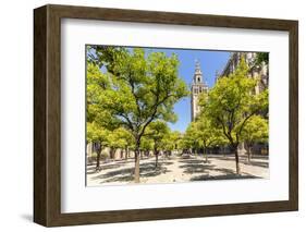 Spain, Andalusia, Seville. Patio De Los Naranjos in the Cathedral and Giralda Tower-Matteo Colombo-Framed Photographic Print