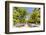 Spain, Andalusia, Seville. Patio De Los Naranjos in the Cathedral and Giralda Tower-Matteo Colombo-Framed Photographic Print