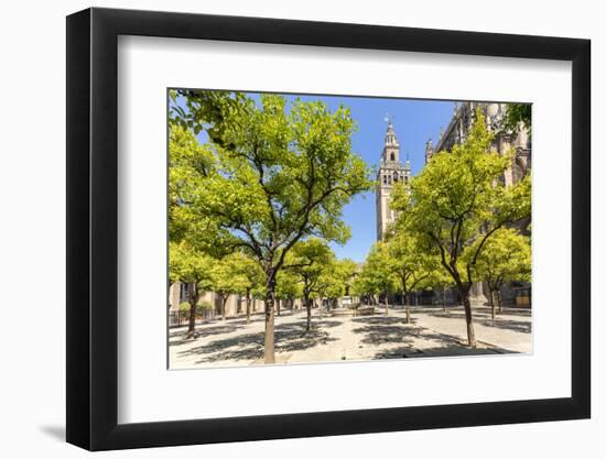 Spain, Andalusia, Seville. Patio De Los Naranjos in the Cathedral and Giralda Tower-Matteo Colombo-Framed Photographic Print