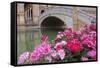 Spain, Andalusia, Seville. Plaza de Espana, ornate bridge with flowers.-Brenda Tharp-Framed Stretched Canvas