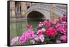 Spain, Andalusia, Seville. Plaza de Espana, ornate bridge with flowers.-Brenda Tharp-Framed Stretched Canvas