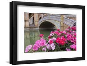 Spain, Andalusia, Seville. Plaza de Espana, ornate bridge with flowers.-Brenda Tharp-Framed Photographic Print