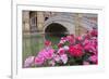 Spain, Andalusia, Seville. Plaza de Espana, ornate bridge with flowers.-Brenda Tharp-Framed Photographic Print
