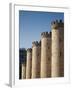Spain, Aragon Region, Zaragoza Province, Zaragoza, the Aljaferia, 11th-Century Islamic Palace-Walter Bibikow-Framed Photographic Print