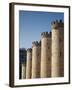 Spain, Aragon Region, Zaragoza Province, Zaragoza, the Aljaferia, 11th-Century Islamic Palace-Walter Bibikow-Framed Photographic Print