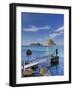 Spain, Balearic Islands, Ibiza, Cala D'Hort Beach-Michele Falzone-Framed Photographic Print