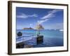 Spain, Balearic Islands, Ibiza, Cala D'Hort Beach-Michele Falzone-Framed Photographic Print