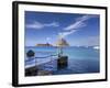 Spain, Balearic Islands, Ibiza, Cala D'Hort Beach-Michele Falzone-Framed Photographic Print