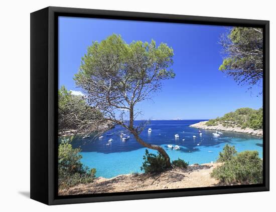 Spain, Balearic Islands, Ibiza, Cala Salada Beach-Michele Falzone-Framed Stretched Canvas