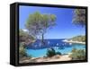 Spain, Balearic Islands, Ibiza, Cala Salada Beach-Michele Falzone-Framed Stretched Canvas