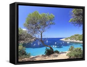 Spain, Balearic Islands, Ibiza, Cala Salada Beach-Michele Falzone-Framed Stretched Canvas