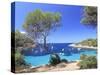 Spain, Balearic Islands, Ibiza, Cala Salada Beach-Michele Falzone-Stretched Canvas