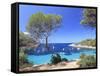 Spain, Balearic Islands, Ibiza, Cala Salada Beach-Michele Falzone-Framed Stretched Canvas