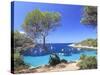 Spain, Balearic Islands, Ibiza, Cala Salada Beach-Michele Falzone-Stretched Canvas