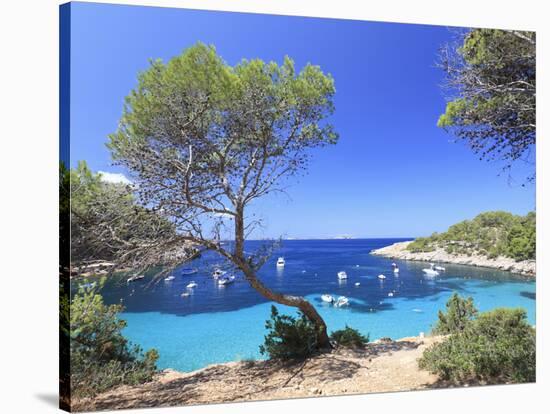 Spain, Balearic Islands, Ibiza, Cala Salada Beach-Michele Falzone-Stretched Canvas