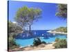 Spain, Balearic Islands, Ibiza, Cala Salada Beach-Michele Falzone-Stretched Canvas