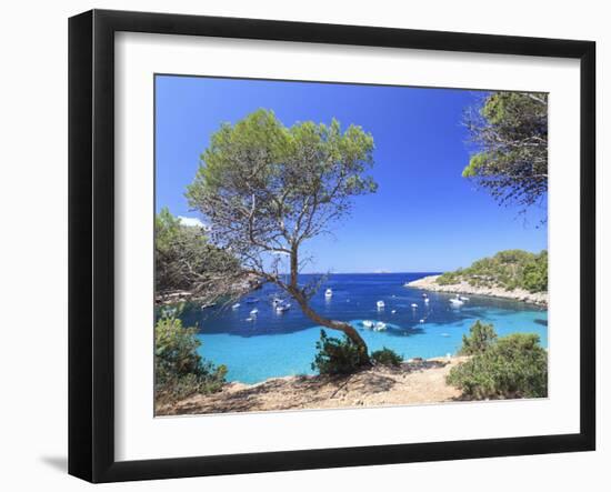 Spain, Balearic Islands, Ibiza, Cala Salada Beach-Michele Falzone-Framed Premium Photographic Print