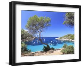 Spain, Balearic Islands, Ibiza, Cala Salada Beach-Michele Falzone-Framed Premium Photographic Print