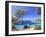 Spain, Balearic Islands, Ibiza, Cala Salada Beach-Michele Falzone-Framed Premium Photographic Print