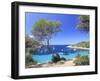 Spain, Balearic Islands, Ibiza, Cala Salada Beach-Michele Falzone-Framed Premium Photographic Print