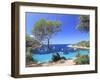 Spain, Balearic Islands, Ibiza, Cala Salada Beach-Michele Falzone-Framed Photographic Print