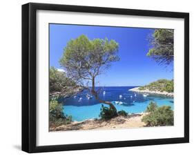 Spain, Balearic Islands, Ibiza, Cala Salada Beach-Michele Falzone-Framed Photographic Print