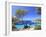 Spain, Balearic Islands, Ibiza, Cala Salada Beach-Michele Falzone-Framed Photographic Print