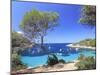 Spain, Balearic Islands, Ibiza, Cala Salada Beach-Michele Falzone-Mounted Photographic Print