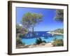 Spain, Balearic Islands, Ibiza, Cala Salada Beach-Michele Falzone-Framed Photographic Print