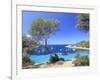 Spain, Balearic Islands, Ibiza, Cala Salada Beach-Michele Falzone-Framed Photographic Print