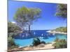 Spain, Balearic Islands, Ibiza, Cala Salada Beach-Michele Falzone-Mounted Photographic Print