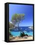 Spain, Balearic Islands, Ibiza, Cala Salada Beach-Michele Falzone-Framed Stretched Canvas