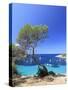 Spain, Balearic Islands, Ibiza, Cala Salada Beach-Michele Falzone-Stretched Canvas