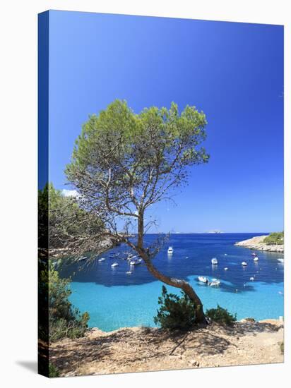 Spain, Balearic Islands, Ibiza, Cala Salada Beach-Michele Falzone-Stretched Canvas