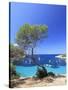 Spain, Balearic Islands, Ibiza, Cala Salada Beach-Michele Falzone-Stretched Canvas