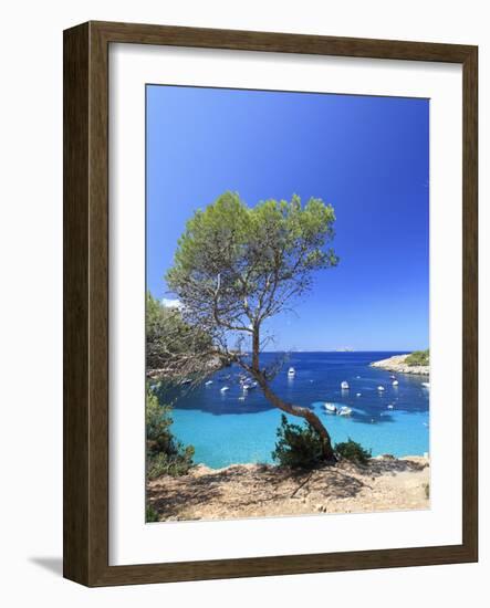 Spain, Balearic Islands, Ibiza, Cala Salada Beach-Michele Falzone-Framed Photographic Print