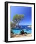 Spain, Balearic Islands, Ibiza, Cala Salada Beach-Michele Falzone-Framed Photographic Print