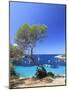 Spain, Balearic Islands, Ibiza, Cala Salada Beach-Michele Falzone-Mounted Photographic Print