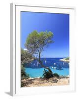 Spain, Balearic Islands, Ibiza, Cala Salada Beach-Michele Falzone-Framed Photographic Print