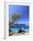 Spain, Balearic Islands, Ibiza, Cala Salada Beach-Michele Falzone-Framed Photographic Print