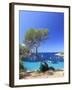 Spain, Balearic Islands, Ibiza, Cala Salada Beach-Michele Falzone-Framed Photographic Print