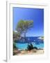 Spain, Balearic Islands, Ibiza, Cala Salada Beach-Michele Falzone-Framed Photographic Print