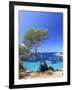 Spain, Balearic Islands, Ibiza, Cala Salada Beach-Michele Falzone-Framed Photographic Print