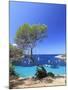 Spain, Balearic Islands, Ibiza, Cala Salada Beach-Michele Falzone-Mounted Photographic Print